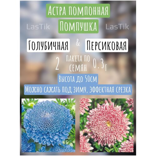 Цветы Астра пампушка голубичная и персиковая 2 пакета по 0,3г семян астра пампушка вишнёвая 0 3 г