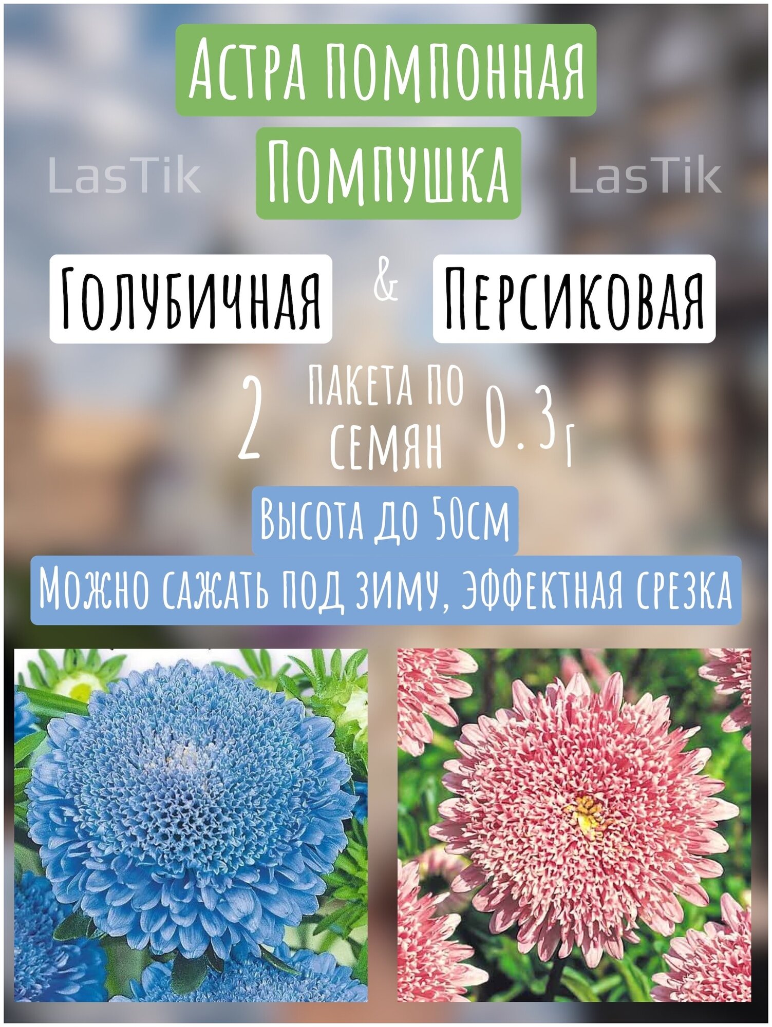 Цветы Астра пампушка голубичная и персиковая 2 пакета по 03г семян