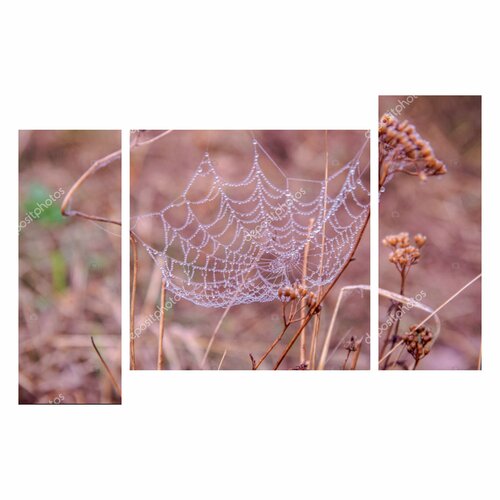 Модульная картина Паутина Размер 995х152см 80х3870х7080х38 5217₽