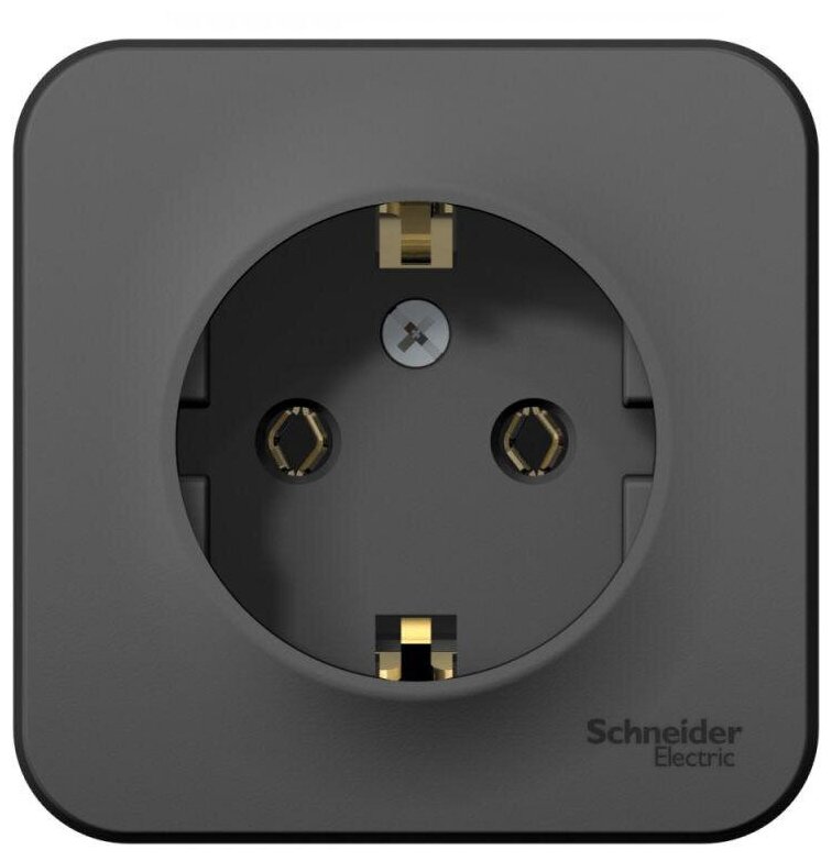 фото Розетка BLANCA, открытый монтаж, с заземлением, антрацит. BLNRA010116 Schneider Electric