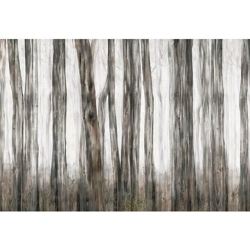 Моющиеся виниловые фотообои GrandPiK Фон. Старые доски и стволы деревьев, 420х290 см