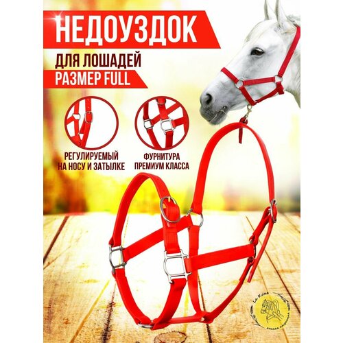 Недоуздок для лошади, из ПВХ ленты, двухслойный, размер Full, ширина 25мм