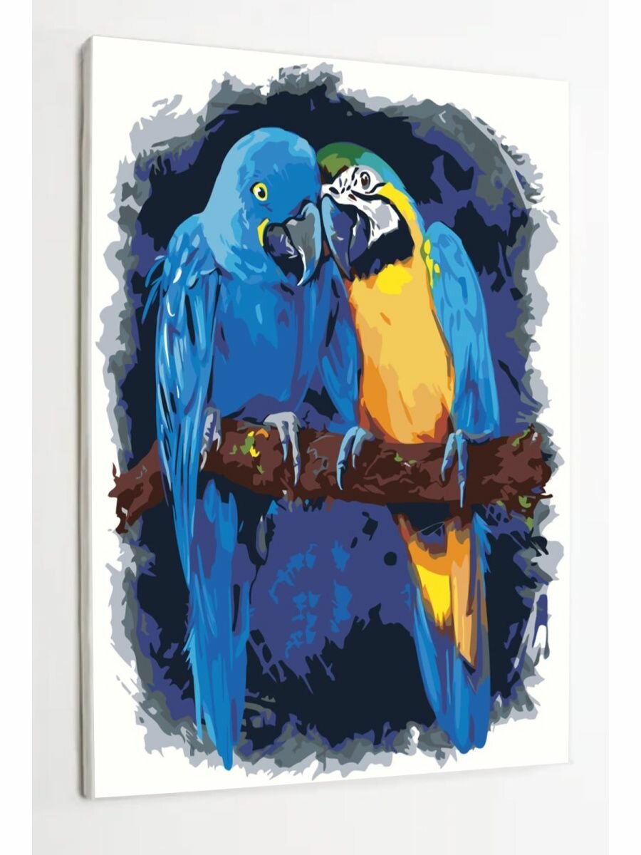 Картина по номерам на холсте с подрамником, "Попугаи Птицы", 30х40 см