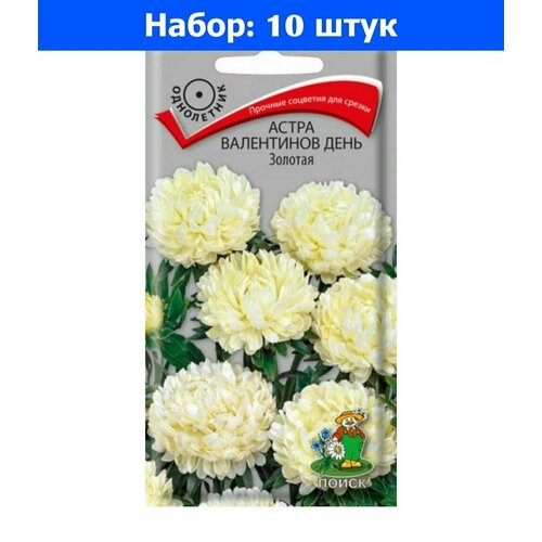 Астра Валентинов День Золотая мультифлора 0,2г Одн 60см (Поиск) - 10 пачек семян космея золотая свадьба 10шт одн 60см поиск 10 пачек семян