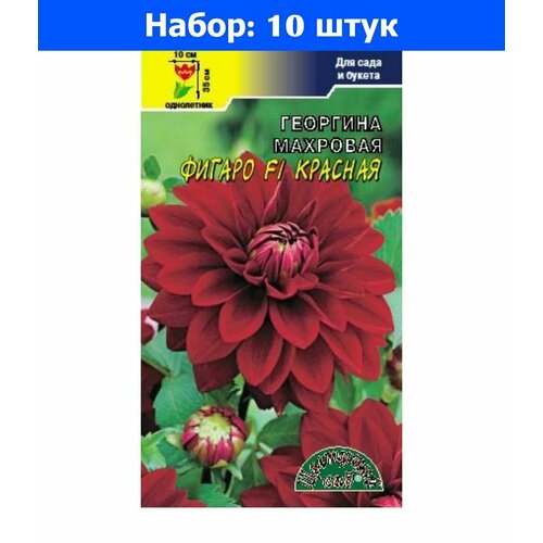 Георгина Фигаро F1 Красная махровая 0.05г Одн 35см (Цвет сад) - 10 пачек семян георгина махровая фигаро f1 красная