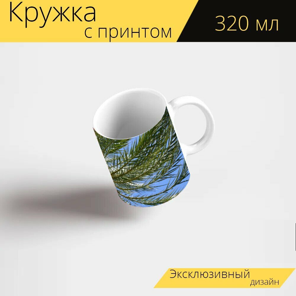 Кружка с рисунком, принтом "Пальмовые листья, пальма, тропический" 320 мл.