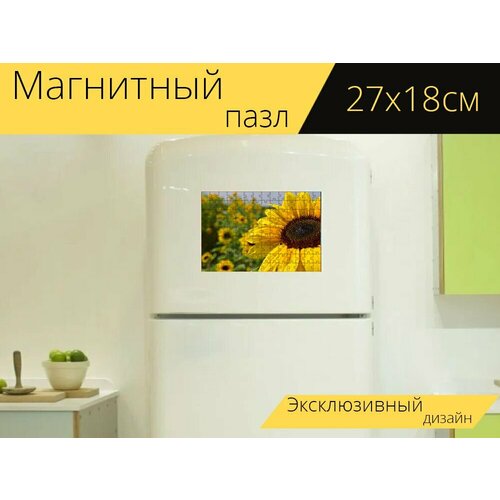 Магнитный пазл Подсолнухи, подсолнечное поле, желтый на холодильник 27 x 18 см.