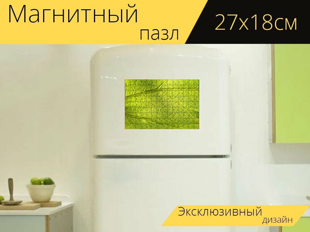 Магнитный пазл "Лист, завод, фотосинтез" на холодильник 27 x 18 см.
