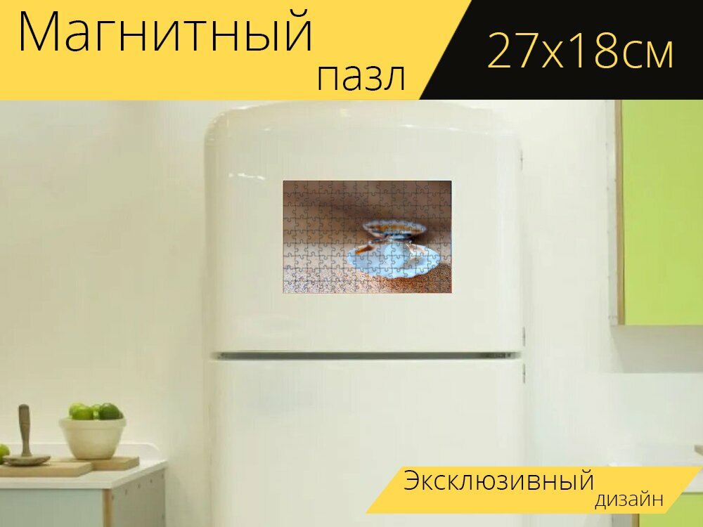 Магнитный пазл "Оболочка, пляж жемчужина, пляж" на холодильник 27 x 18 см.