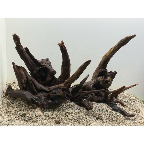 Декор для аквариума Коряга мангровая 20-50см ( ZELAQUA) лот 004