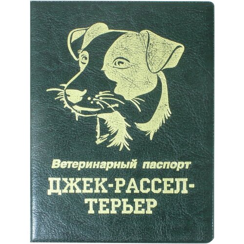 Обложка для паспорта Стрекоза, зеленый