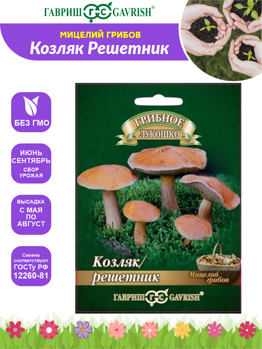 Мицелий Козляк Решетник на зерновом субстрате DHп 15 мл.