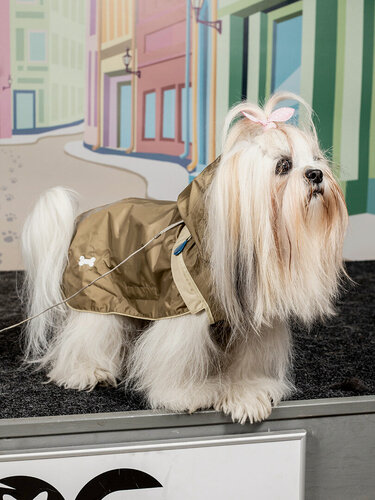 Изображение товара Дождевик спортивная курточка трансформер светоотражающая Japan Premium Pet. Размер S. Цвет бежевый хаки. Унисекс