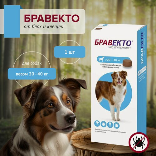 Изображение товара Бравекто 1000 мг для собак весом 20-40 кг, от блох и клещей, 1 таб.