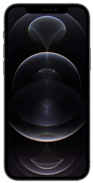 Смартфон iPhone 12 Pro 256 ГБ, nano SIM, графитовый — фото 1