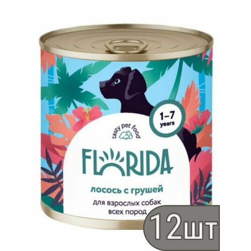FLORIDA Набор 12 шт Консервы для собак "Лосось с грушей", 240 гр