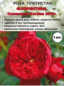 Основная фотография от вендора