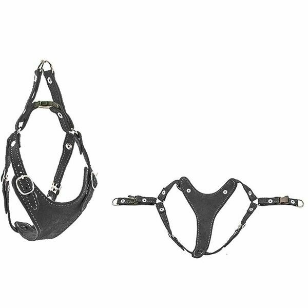 Шлейка для собак Дарэлл "Ева", замша, быстросъемная, размер S, обхват шеи 20-28 см, груди 30-40 см, черная