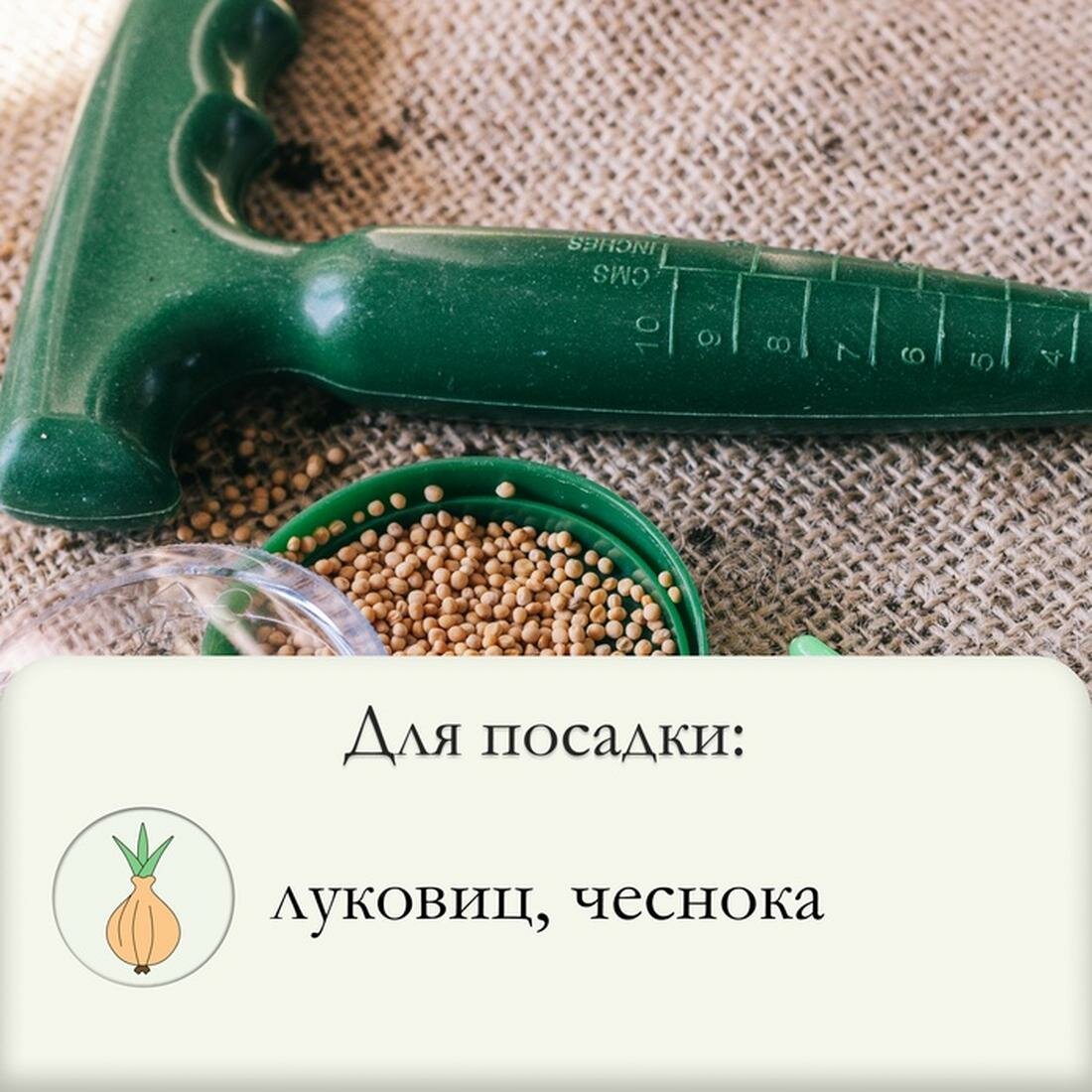 Конус посадочный, с разметкой, длина 17 см, пластик, зеленый — фото 1