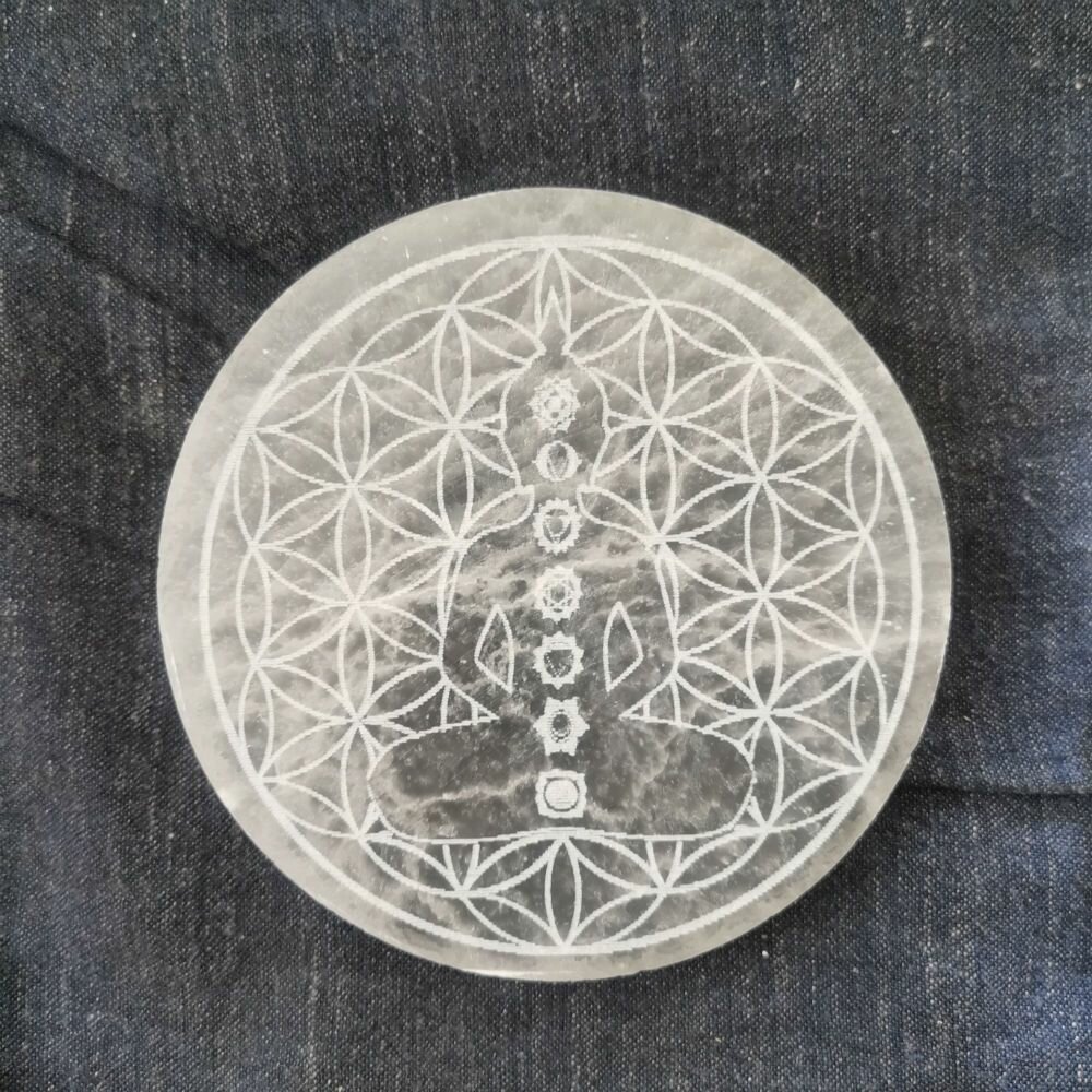 1 шт. селенит пластина(10cm)