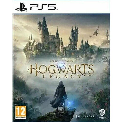 Hogwarts Legacy [PS5, русские субтитры] - CIB Pack видеоигра hogwarts legacy ps5