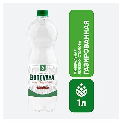 Вода минеральная BOROVAYA (Боровая), лечебно-столовая питьевая сульфатно-кальциевая газированная/ для похудения, пэт 1л х 6 шт - фотография № 6