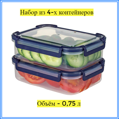 Набор контейнеров для пищевых продуктов 0.75/0.75 л пластик цвет прозрачный