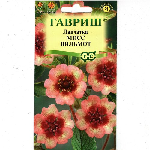 Лапчатка летний мотив, смесь видов, многолетник ( 1 уп: 0,01 г ) аквилегия нимфа многолетник смесь 1 уп 0 1 г