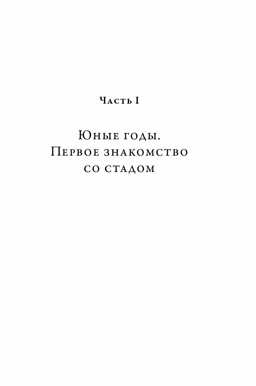 Записки примата. Необычайная жизнь ученого среди павианов - фото №14