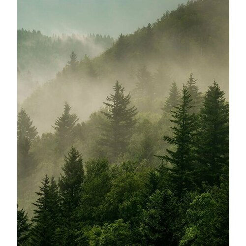 Моющиеся виниловые фотообои Туман над горами, 250х290 см