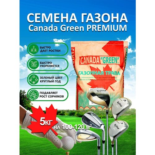 Газонная трава семена Канада Грин Премиум PREMIUM 5 кг/ мятлик, райграс, овсяница семена для газона