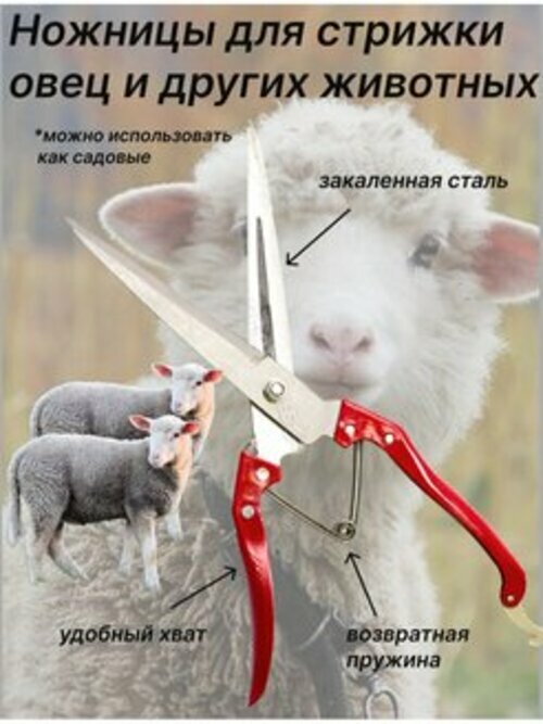 Ножницы для стрижки овец, 300мм - фотография № 1