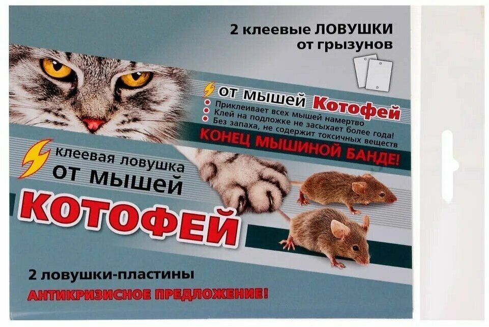 Котофей клеевой домик от мышей