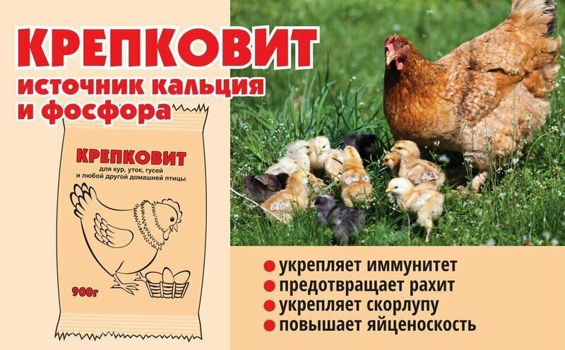 Крепковит для кур, уток, домашней птицы, 3штуки по 900г - фотография № 2