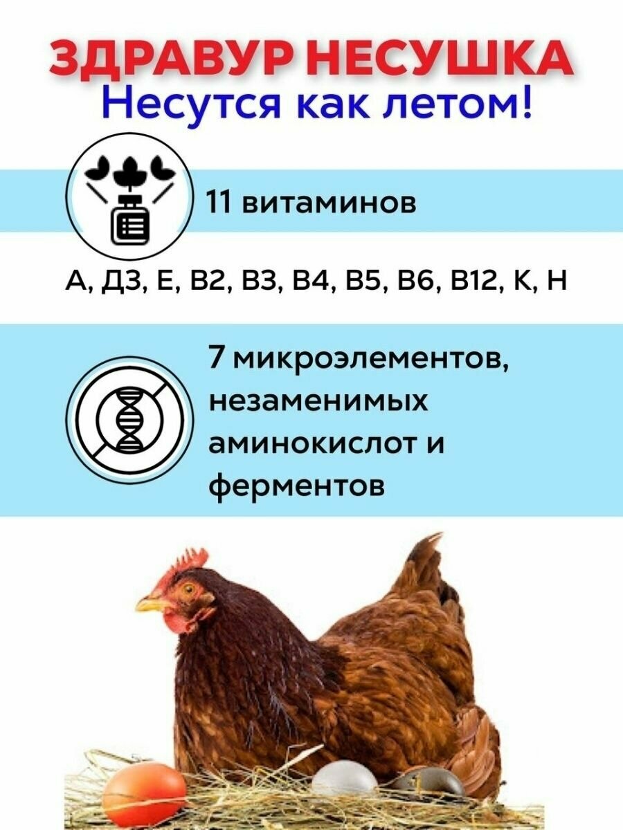 Кормовая добавка Здравур Несушка для кур и другой домашней птицы 1500 гр. 3шт по 1500гр - фотография № 3