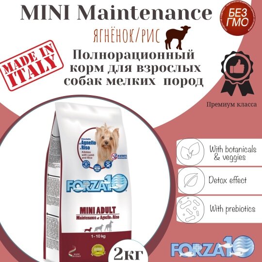 Корм Forza10 Maintenance Mini Adult для собак малых пород, с ягненком и рисом 2кг