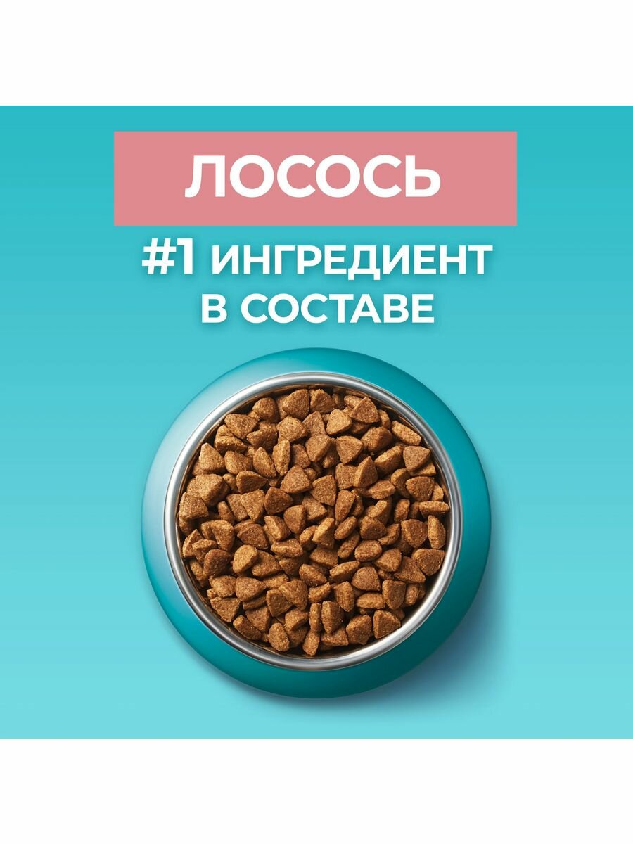 Сухой корм Purina ONE для стерилизованных кошек с лососем, 3 кг - фотография № 3