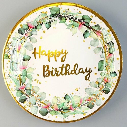 Тарелки бумажные С днём рождения в наборе 6 шт цвет зелёный 500₽