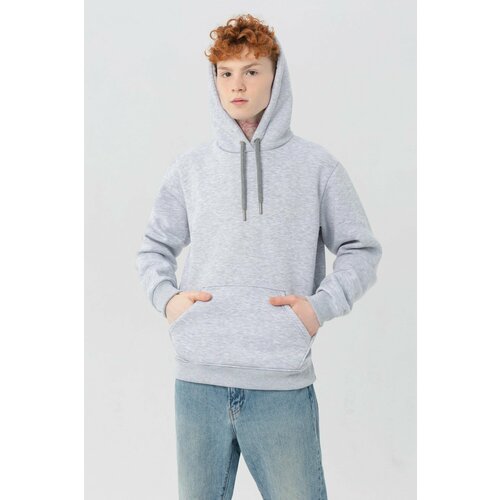фото Худи магазин толстовок, размер m-48-unisex-(мужской), , серый