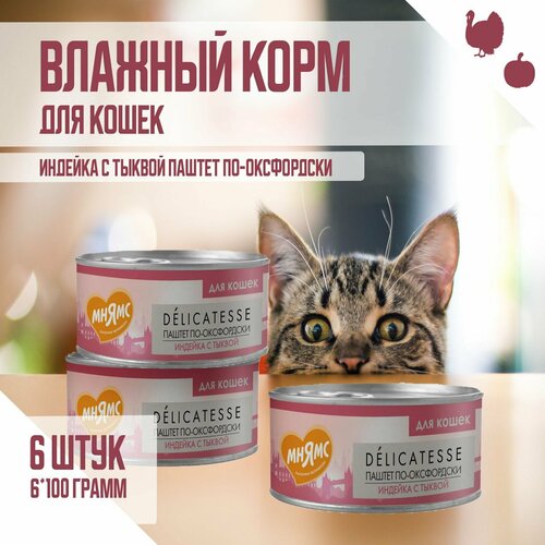 Влажный корм Мнямс для кошек "Паштет по-оксфордски", Индейка с тыквой, 100 г х 6шт