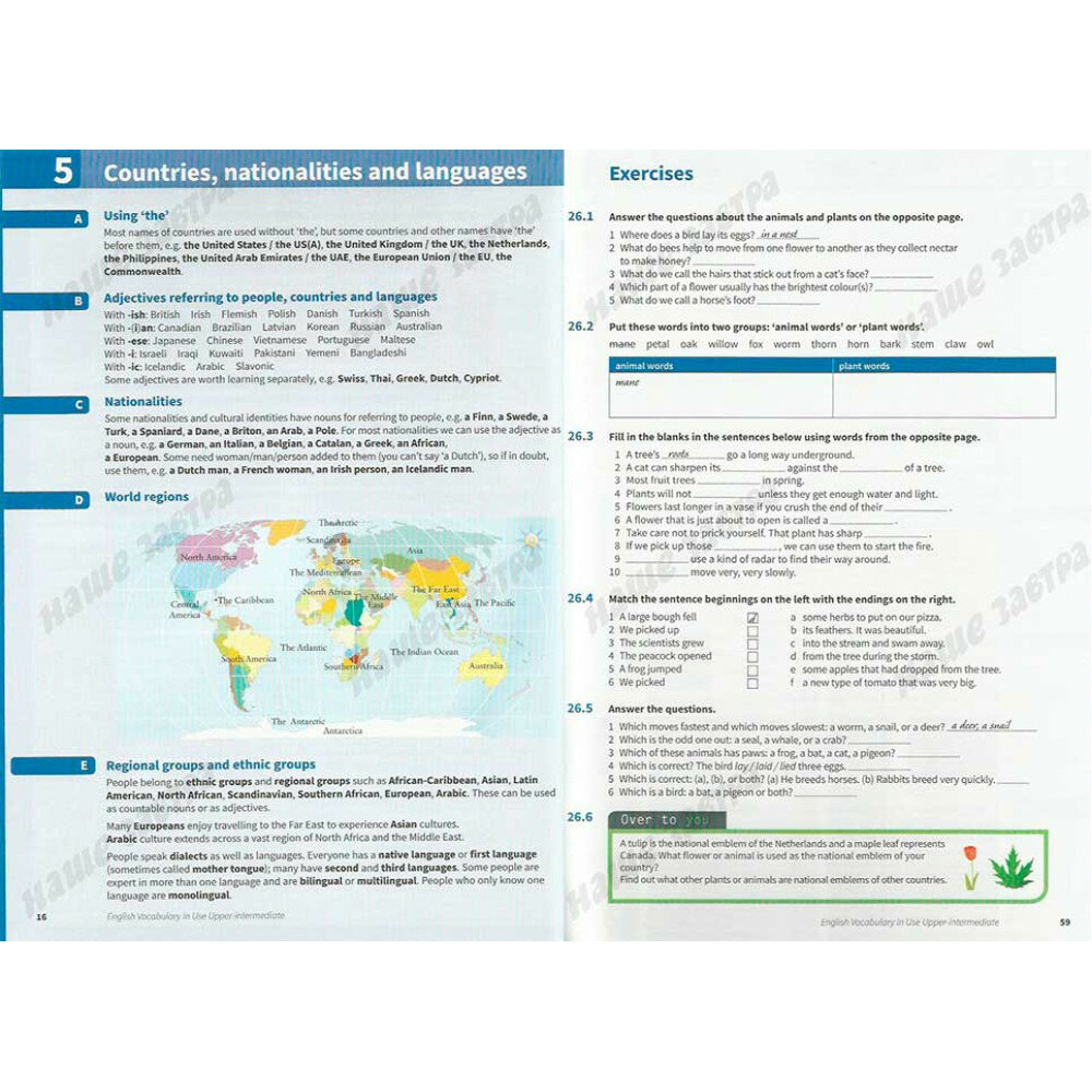 McCarthy Michael,ODell Felicity "English Vocabulary in Use. Upper-Intermediate. Book with Answers" мелованная - фото №11