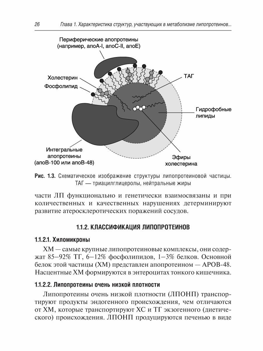 Медико-генетическое консультирование при дислипидемиях. Руководство - фото №15