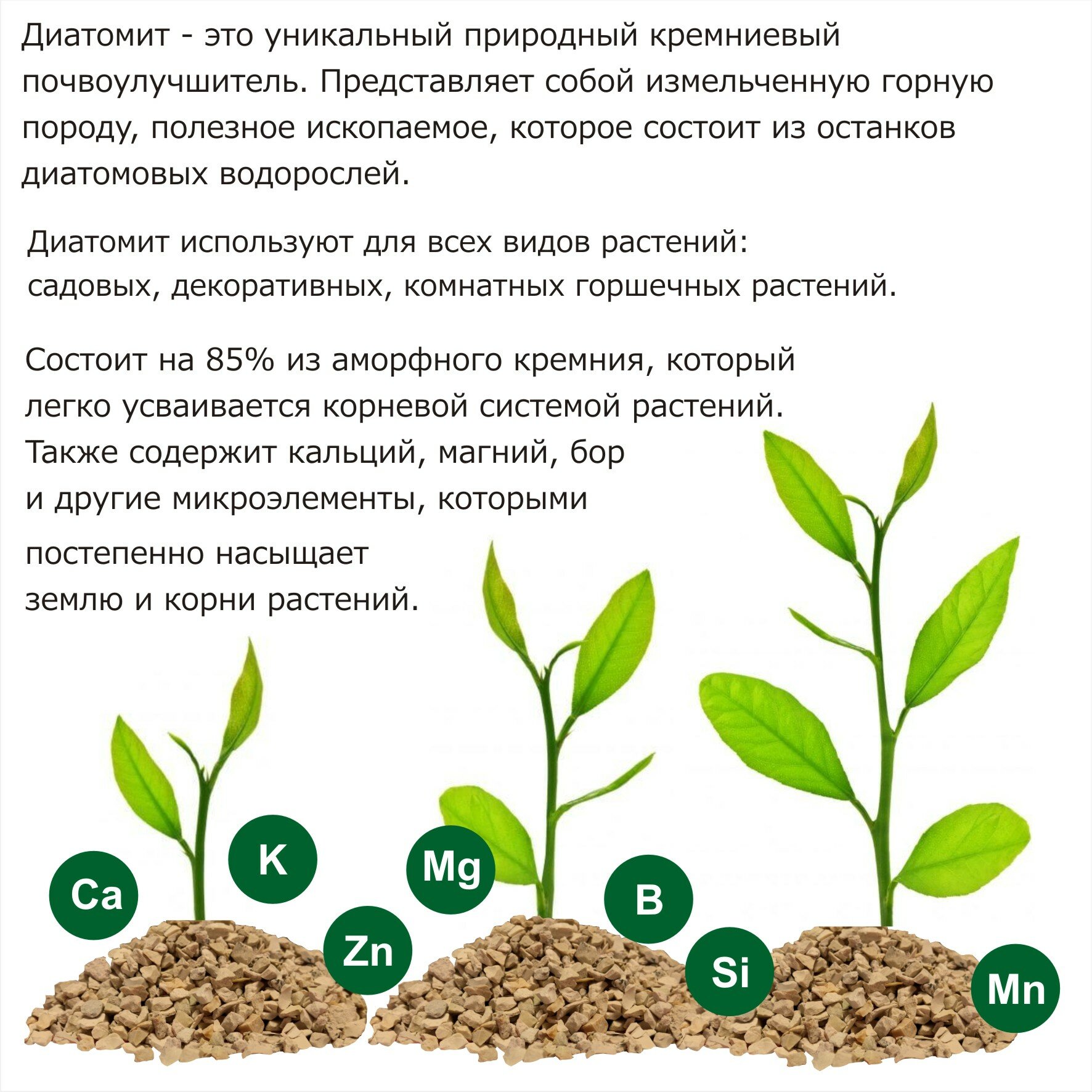Диатомит садовый, натуральное кремниевое удобрение для растений фракция ...
