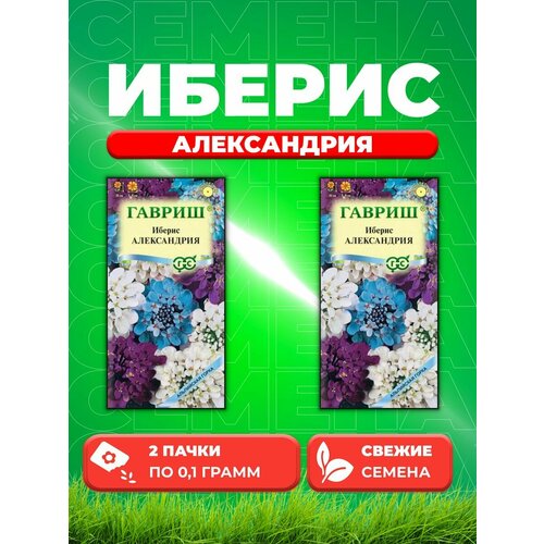 Иберис зонтичный Александрия, 0,1г, Гавриш(2уп) семена иберис зонтичный смесь окрасок