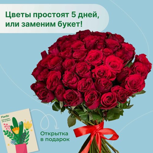 Изображение товара Цветы живые букет из 51 красной розы 35 см с атласной лентой Flor2u