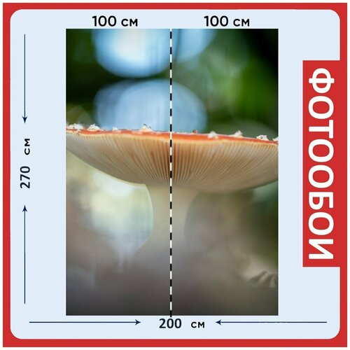 Фотообои Гриб природа красный с белыми точками 200x270 см флизелиновыена стену 2950₽