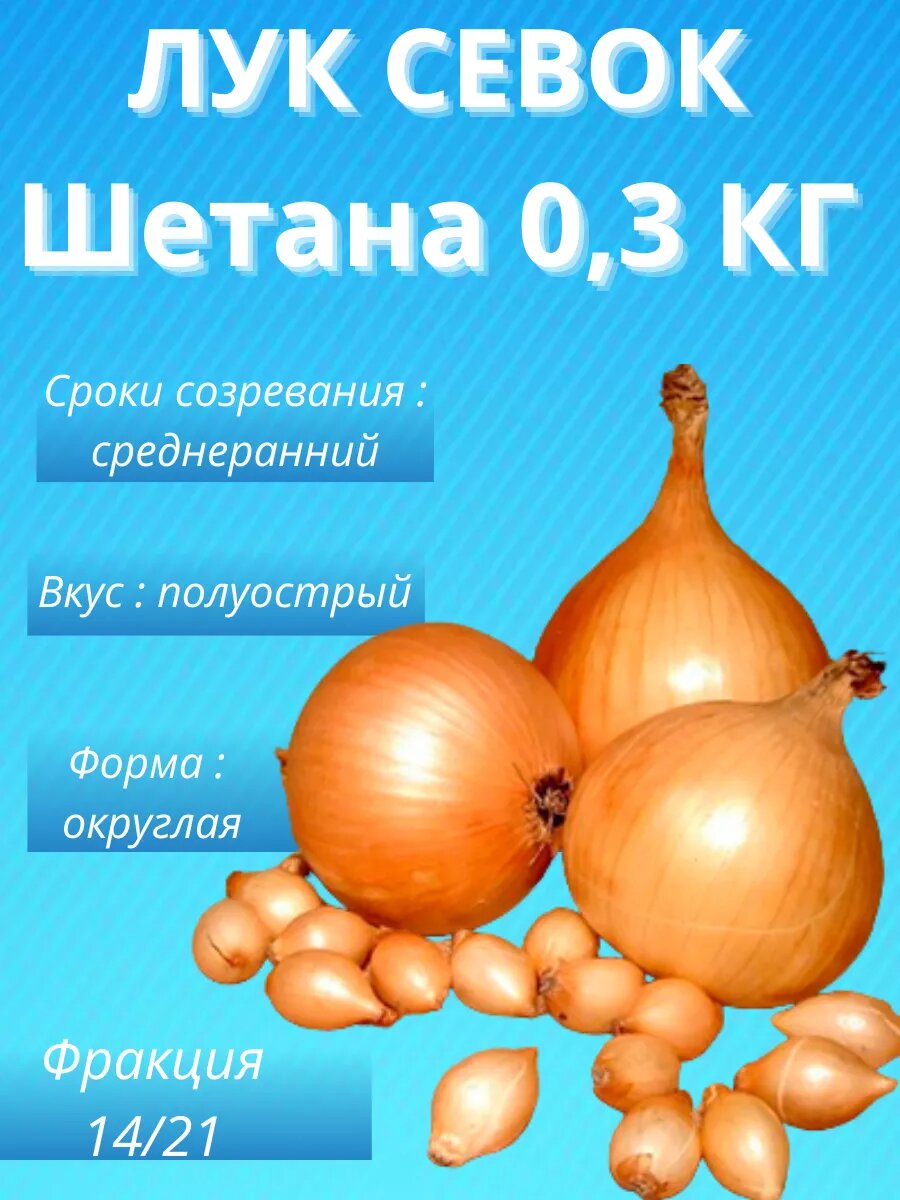 Лук севок Шетана 03 кг