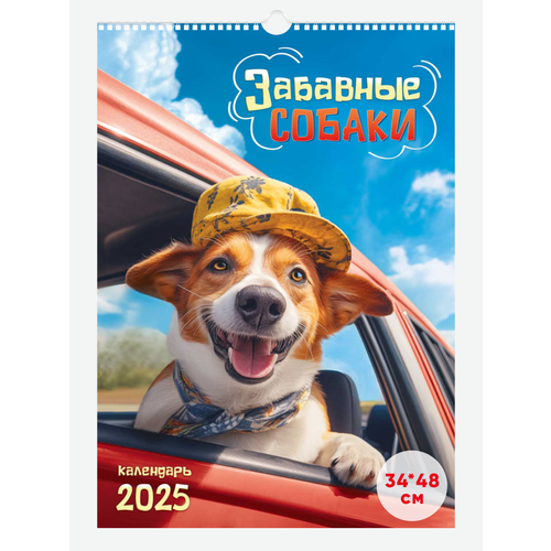 Настенный календарь 2025 34*48см Забавные собаки