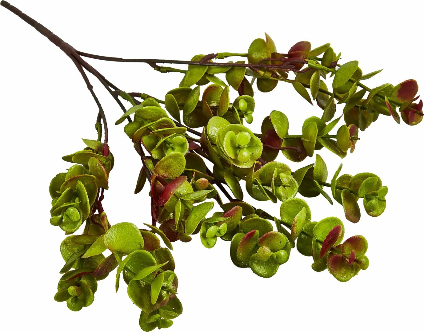 Искусственное растение Holiday 35x20 см пластик цвет зеленый