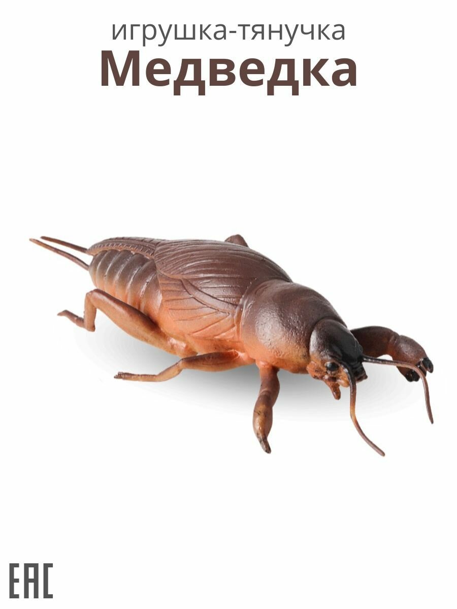 Медведка игрушка тянучка / Тянучка антистресс